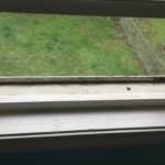 windows sill before cleaning